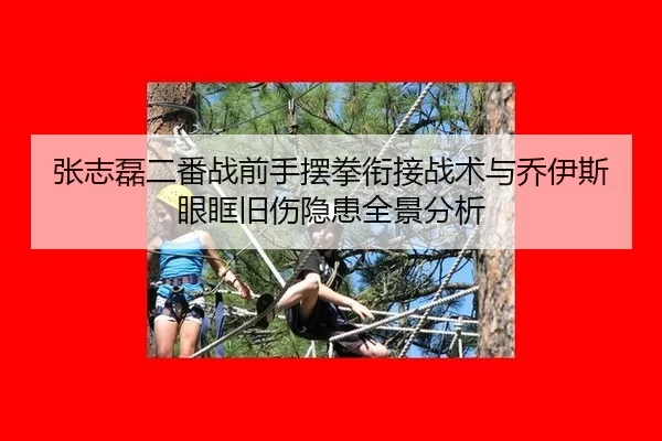 张志磊二番战前手摆拳衔接战术与乔伊斯眼眶旧伤隐患全景分析（Kering）